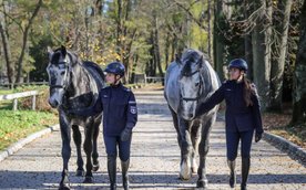 Nowe konie wspomogą w służbie stołecznych policjantów