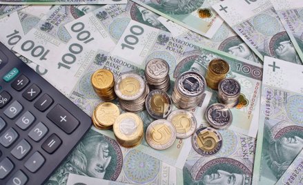 Bez zmian dojdzie do samolikwidacji OFE