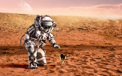 Naukowcy chcą wywołać globalne ocieplenie na Marsie