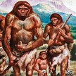 Homo erectus – człowiek wyprostowany