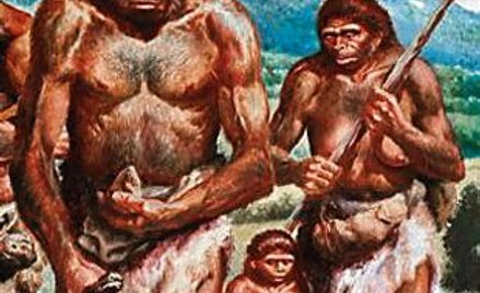 Homo erectus – człowiek wyprostowany