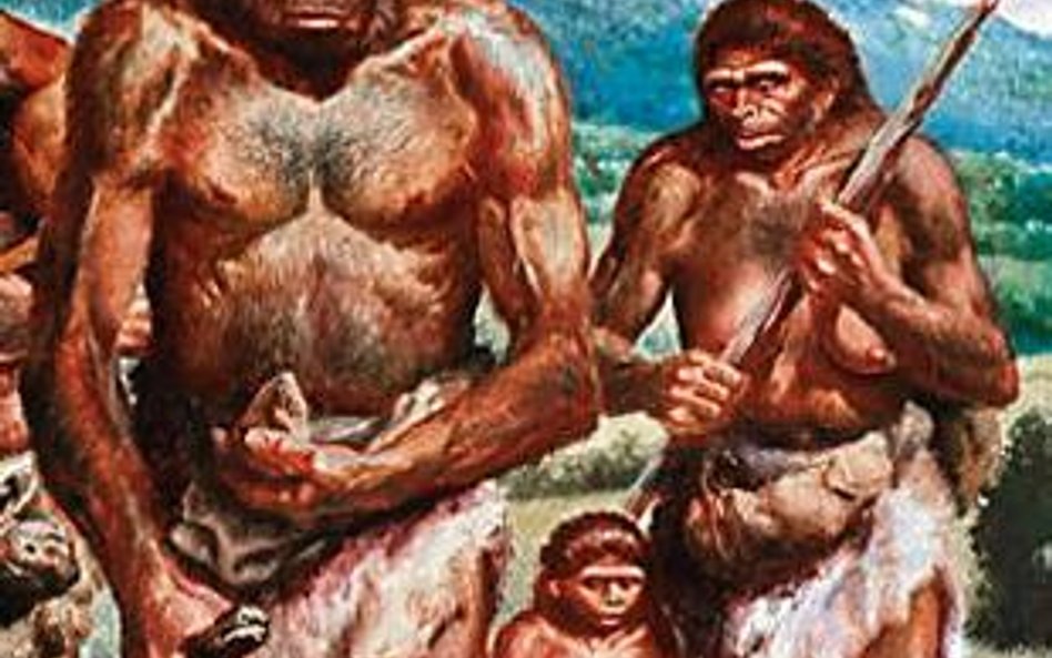 Homo erectus – człowiek wyprostowany