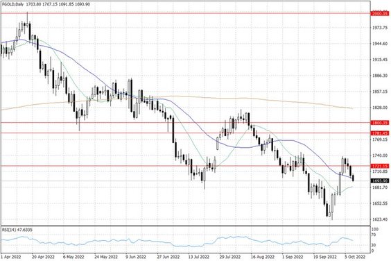 Notowania złota – dane dzienne