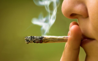 Kanadyjska firma szuka testera marihuany. Za godną stawkę
