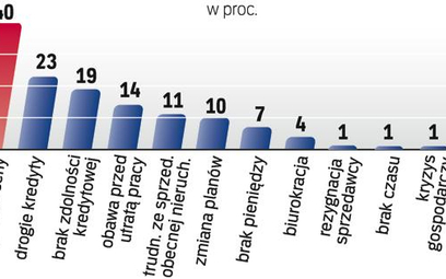 Raport „Polski Rynek Mieszkaniowy 2009 – Popyt i preferencje nabywców” został opracowany pod koniec 