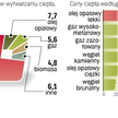 Nowe normy emisji wymuszą modernizację także ciepłownictwa. Firmy do kosztów produkcji będą musiały 