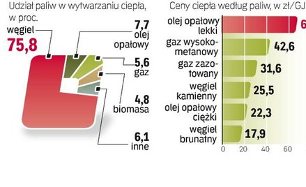 Nowe normy emisji wymuszą modernizację także ciepłownictwa. Firmy do kosztów produkcji będą musiały 