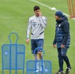Kanclerz daje zielone światło Bundeslidze
