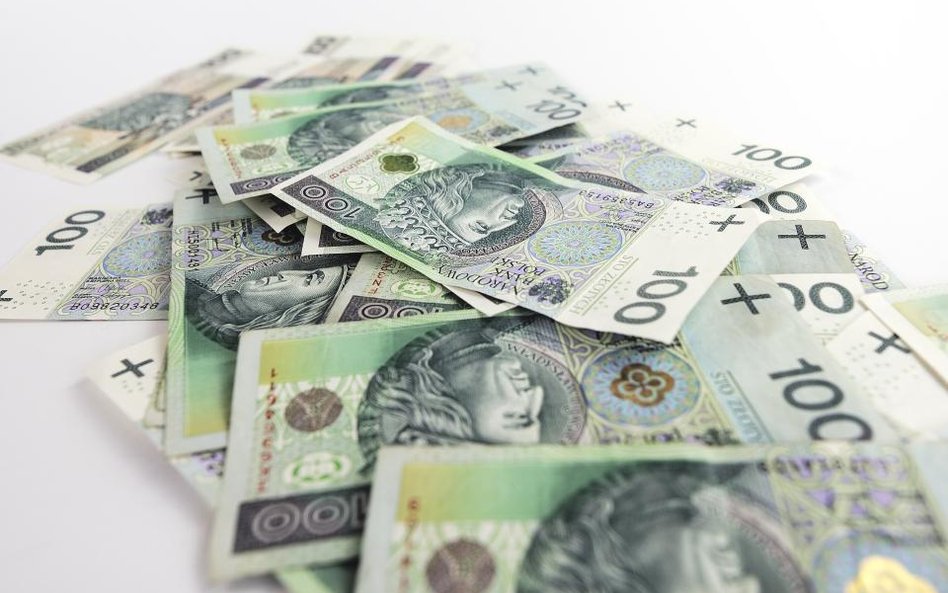 Budżet po styczniu: 6,6 mld zł nadwyżki