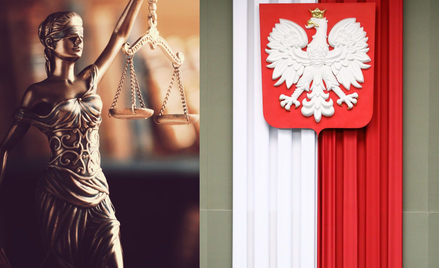 Uczestników sondażu spytaliśmy czy Polska jest demokratycznym państwem prawa