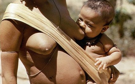 Klimat równikowy jest zabójczy, a dżungla pełna pułapek. W dziewiczej puszczy umiera co drugi noworo