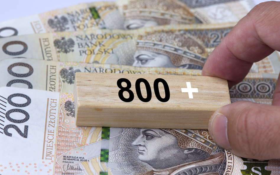 Nowe terminy wypłat 800 plus w maju. Kiedy ZUS wypłaci świadczenie?