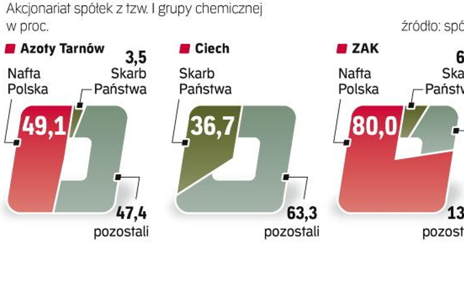 Skarb Państwa przygotowuje się do prywatyzacji części spółek chemicznych