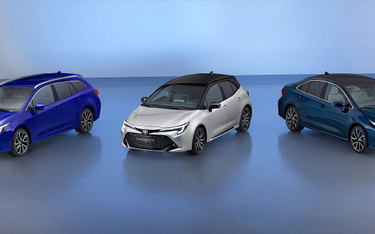 Wymęczony wzrost sprzedaży nowych aut. Toyota w Polsce poza konkurencją