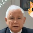 Jarosław Kaczyński namawia w mediach społecznościowych do poparcia projektu ustawy w sprawie zakazu 