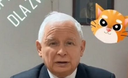 Jarosław Kaczyński namawia w mediach społecznościowych do poparcia projektu ustawy w sprawie zakazu 