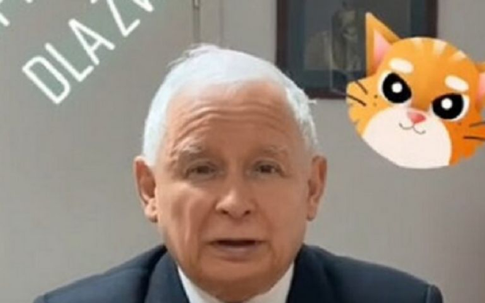 Skuteczność TikToka wysoko cenią politycy. Jarosław Kaczyński namawiał w mediach społecznościowych d