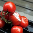 Uwaga pleśń. Jej toksyny są bardzo niebezpieczne