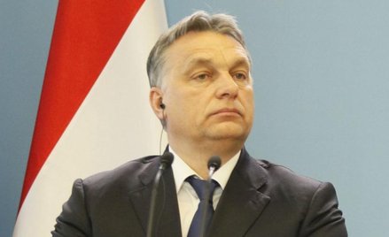 Nikt nie podejmował tematu objęcia Węgier procedurą ochrony praworządności na wzór Polski – mówi nie