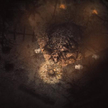 „Darkwood”, czyli zdolni twórcy w strasznym lesie