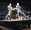 Roboty na ringu