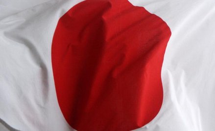 Japonia pomoże Europie