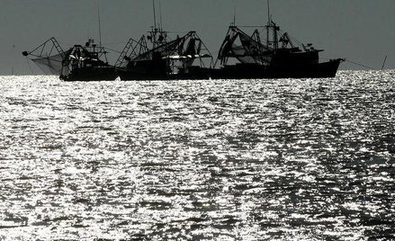 Dno dzisiejszej Zatoki Perskiej zamieszkiwali ludzie