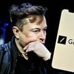 Kataryna: Grok przypomniał, jacy naprawdę są politycy w dobrze skrojonych garniturach