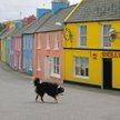 Irlandia została wepchnięta w kryzys w wyniku pęknięcia bańki na rynku nieruchomości w 2007 roku.