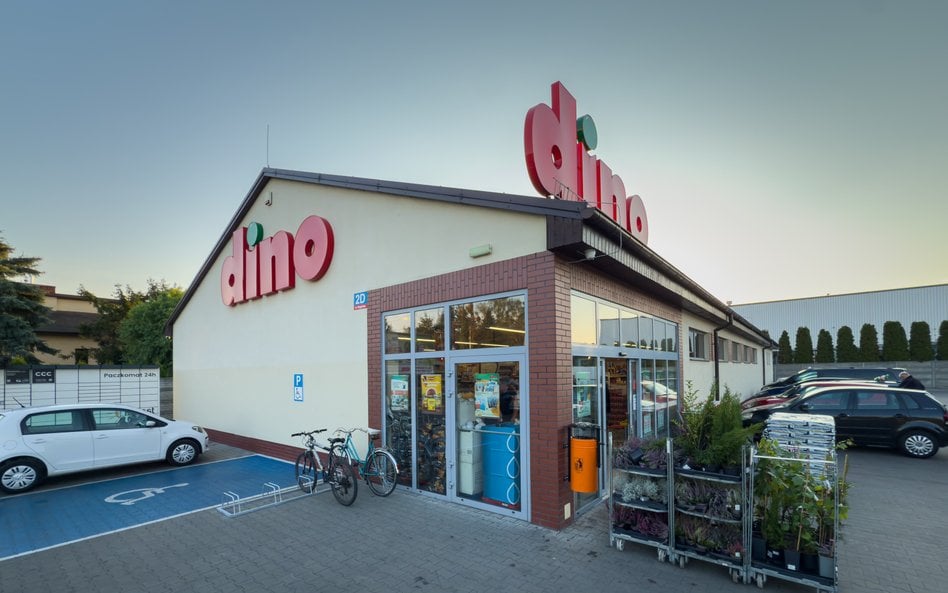 Nie wiadomo, co dalej z projektem eDino Ogród