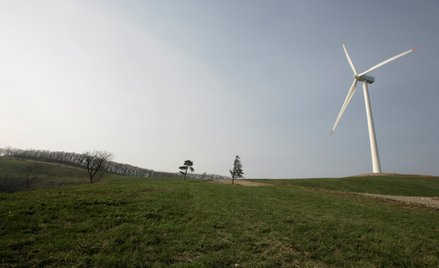Farma wiatrowa w okolicach Pjongczangu