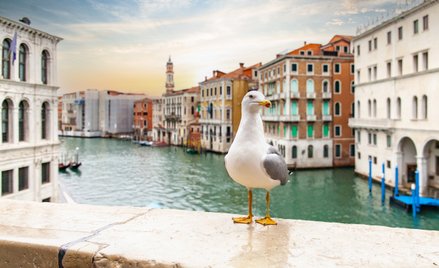 Nowe atrakcje najdroższych weneckich hoteli: pistolety na wodę