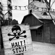 Snyder: Auschwitz – wygodny symbol
