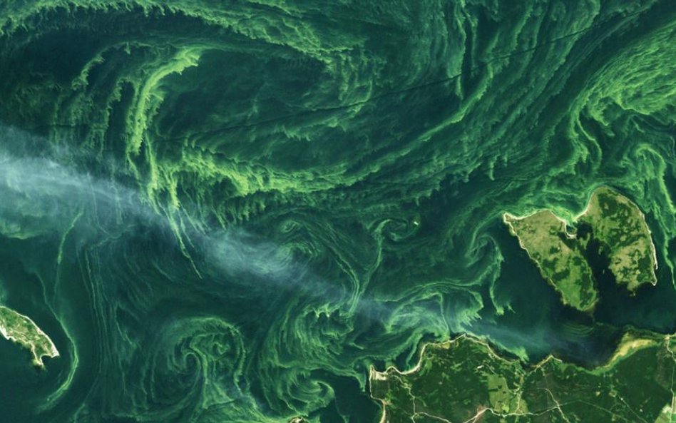 fot. Mapbox