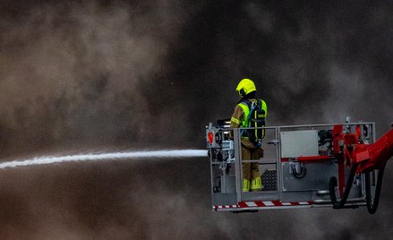 Strażacy gaszą pożary na terenach wojskowych w Holandii. Przyczyna nie jest jasna