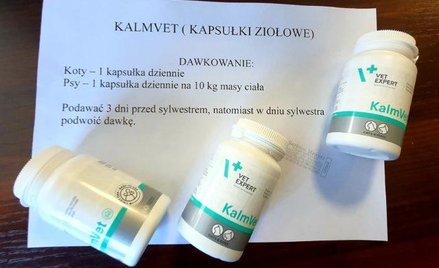 Urzędnicy z Zielonej Góry rozdają tabletki przeciwstresowe dla psów i kotów przed miejskim Sylwestre