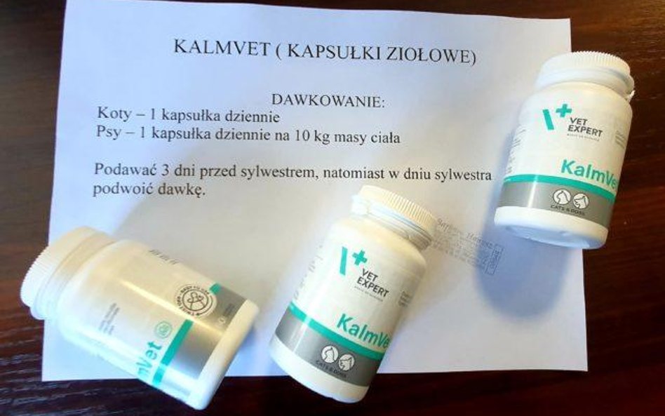 Urzędnicy z Zielonej Góry rozdają tabletki przeciwstresowe dla psów i kotów przed miejskim Sylwestre