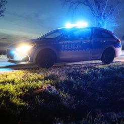 Mikołaj Małecki: Zabójstwo drogowe gorsze od ludobójstwa?