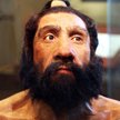 Rekonstrukcja głowy dorosłego neandertalczyka / Tim Evanson