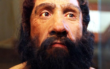 Rekonstrukcja głowy dorosłego neandertalczyka / Tim Evanson