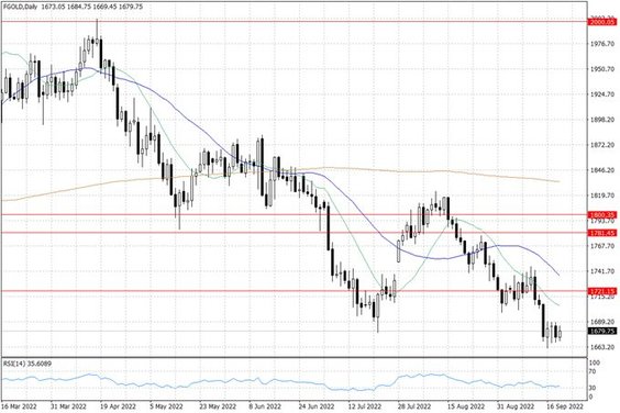 Notowania złota – dane dzienne