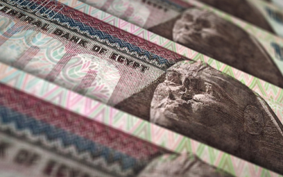 #WykresDnia: Najwyższy czas na dewaluację egipskiego funta