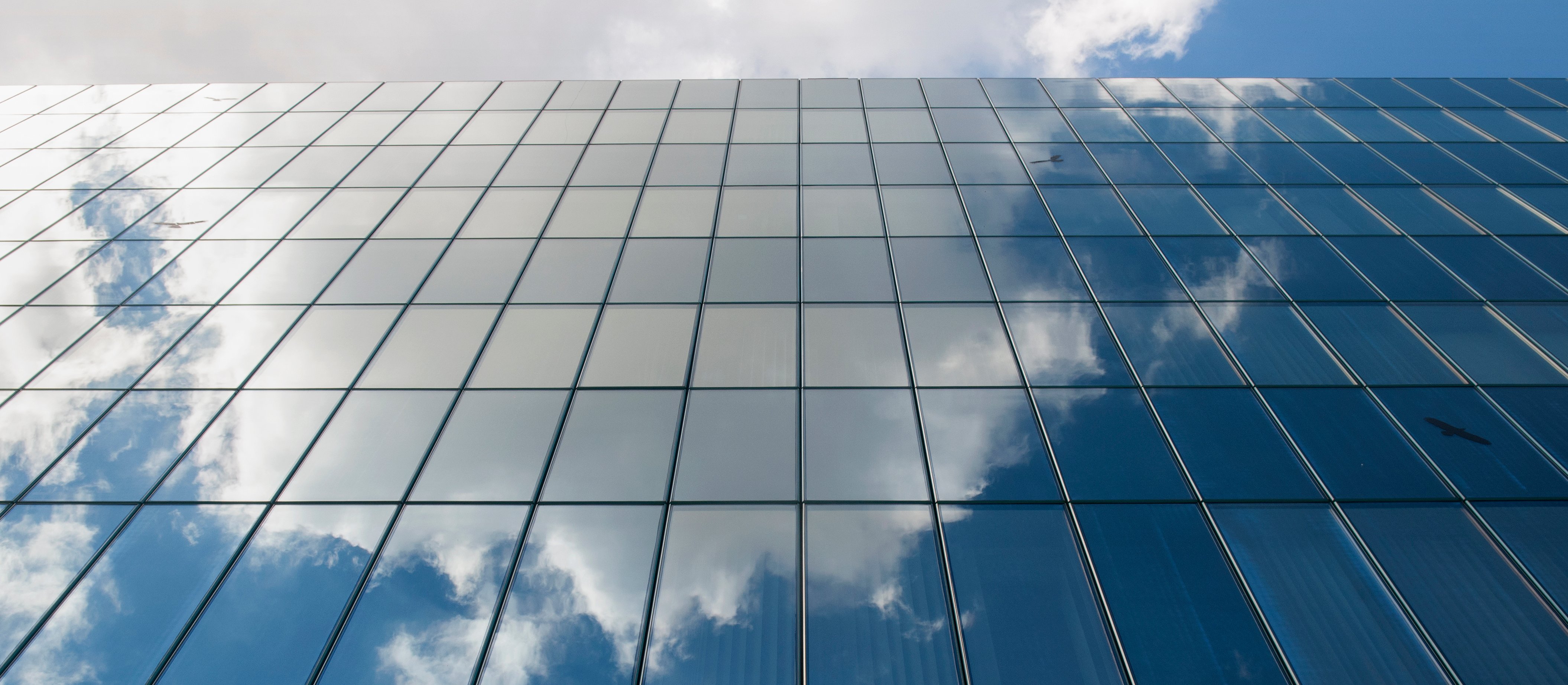 Schrony i praca hybrydowa w urzędach