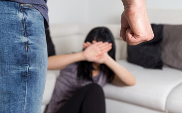 Drugie dno ustawy o przemocy w rodzinie - komentuje Tomasz Pietryga