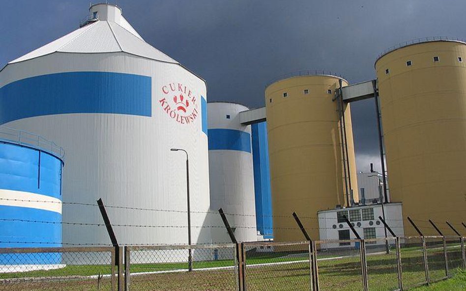 Cukrownia Ropczyce na Podkarpaciu. Produkcja ma się tu lepiej niż w Łapach na Podlasiu i Wożuczynie 