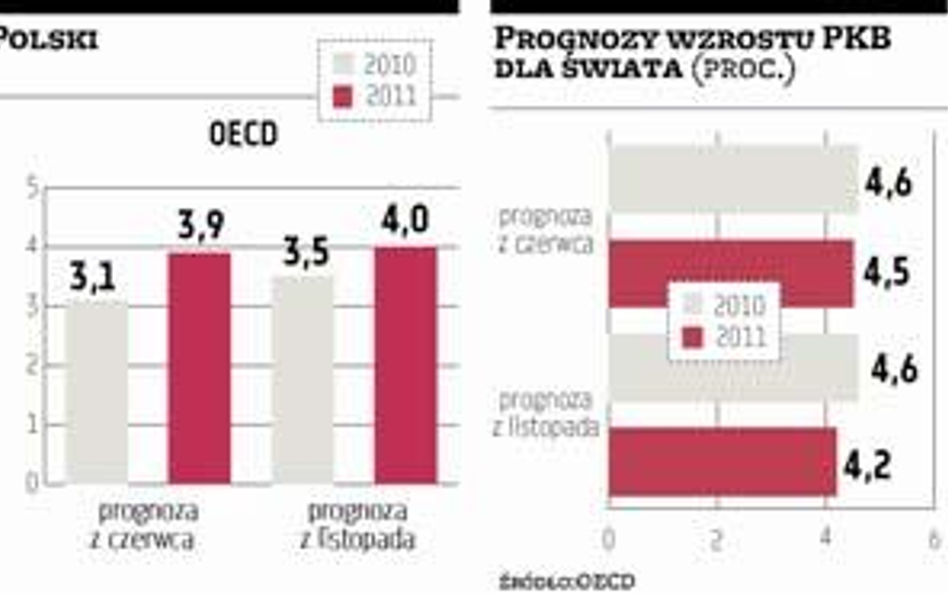 Pol­ska li­de­rem we wzro­ście, ma­ru­de­rem w re­for­mach