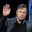 Tweet wart 14 mld dolarów. Elon Musk lubi szokować