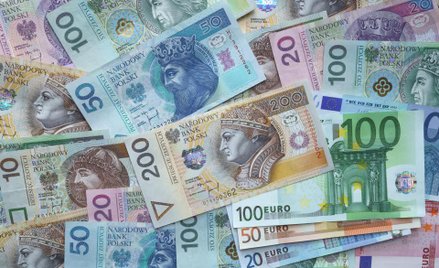Euro atrakcyjne dla Polski