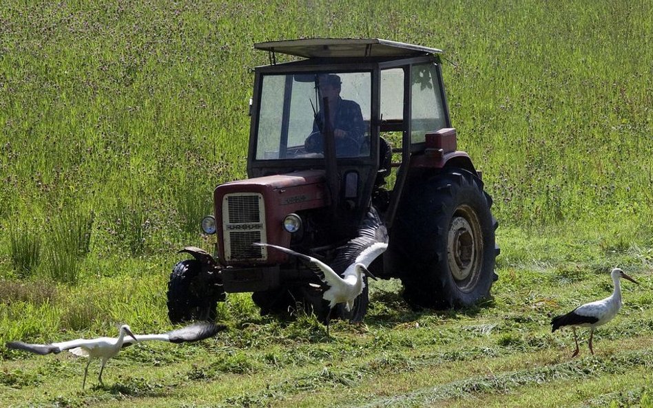 Szlachta nie pracuje