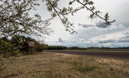 Problem z suszą może wpłynąć na ceny nowalijek